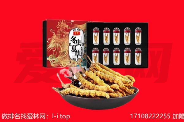 象山县回收虫草.jpg